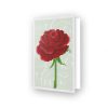 Carte de voeux Rose d’amour DDG.017