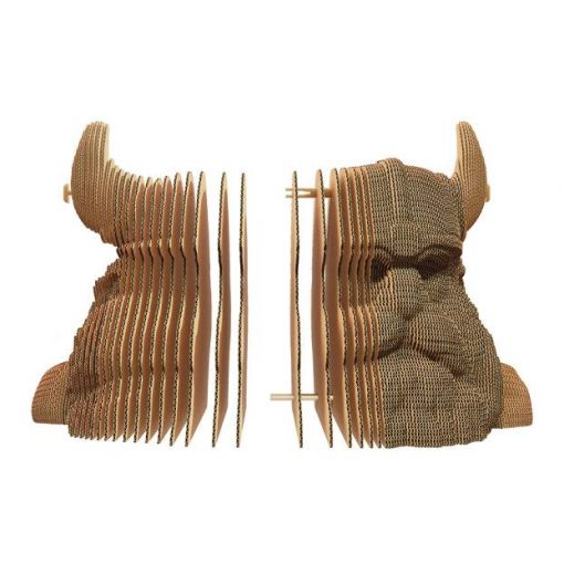 Viking_CARTONIC
