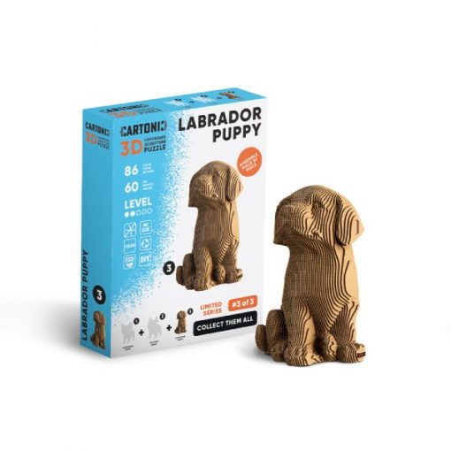 Labrador puppy_9 (1)
