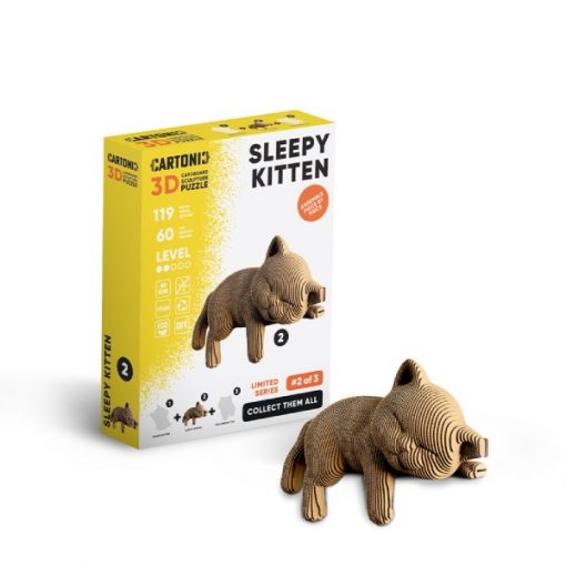 Sleepy kitten_9 (1)