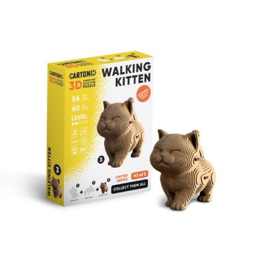 Walking kitten_9 (1)