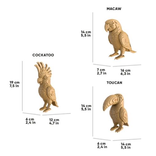 Tropical_birds_7 (1)