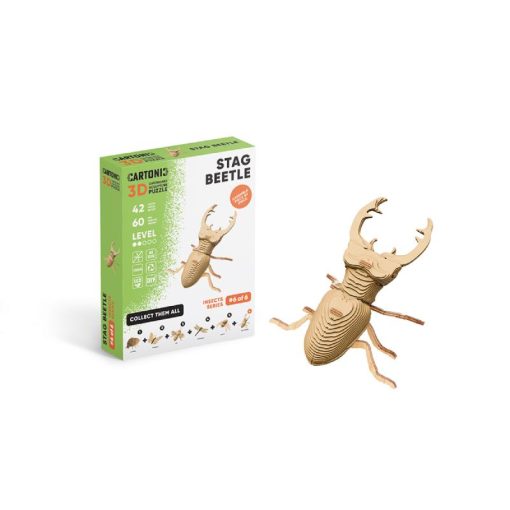 Cartonic Scarabée