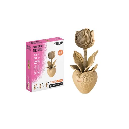Cartonic Tulipe