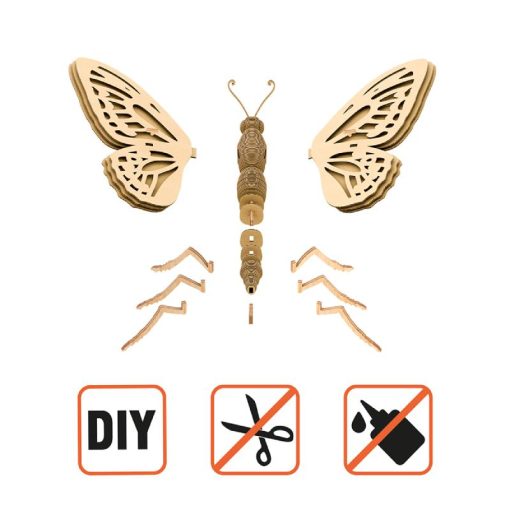 BUTTERFLY_6 (1)