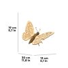 BUTTERFLY_8 (1)