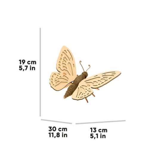 BUTTERFLY_8 (1)