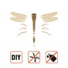 DRAGONFLY_6 (1)