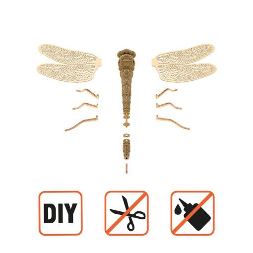 DRAGONFLY_6 (1)