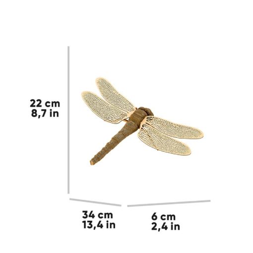 DRAGONFLY_8 (1)