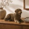 GOLDEN_RETRIEVER_4