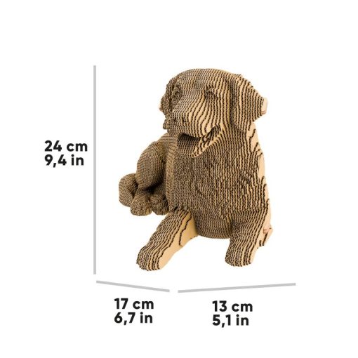 GOLDEN_RETRIEVER_8 (1)