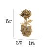 ROSE_8 (1)