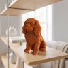 SPANIEL_5