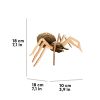 SPIDER_8 (1)