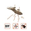 STAG BEETLE_6 (1)