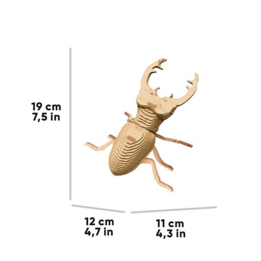 STAG BEETLE_8 (1)
