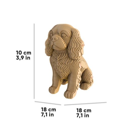 Spaniel_8 (1)