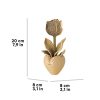 TULIP_8 (1)