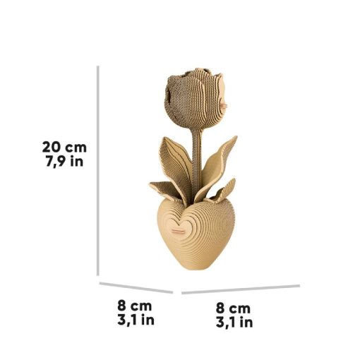 TULIP_8 (1)